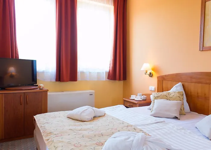 Karos Gold 813 Wellness Apartman